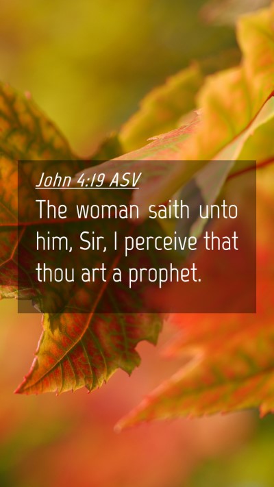 Picture 04 - John 4:19 ASV Mobile Phone Wallpaper - The woman saith unto him, Sir, I perceive that - Mobile Bible Verse Wallpaper