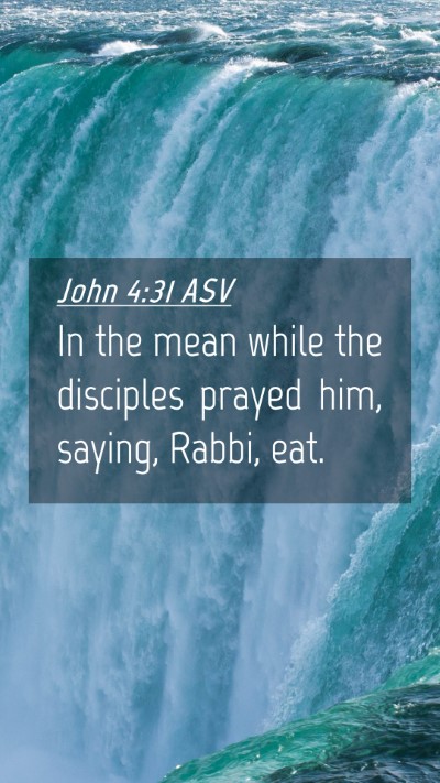 Picture 04 - John 4:31 ASV Mobile Phone Wallpaper - In the mean while the disciples prayed him, - Mobile Bible Verse Wallpaper