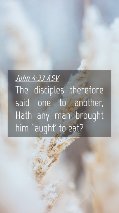 Picture 04 - John 4:33 ASV Mobile Phone Wallpaper - The disciples therefore said one to another, Hath - Mobile Bible Verse Wallpaper