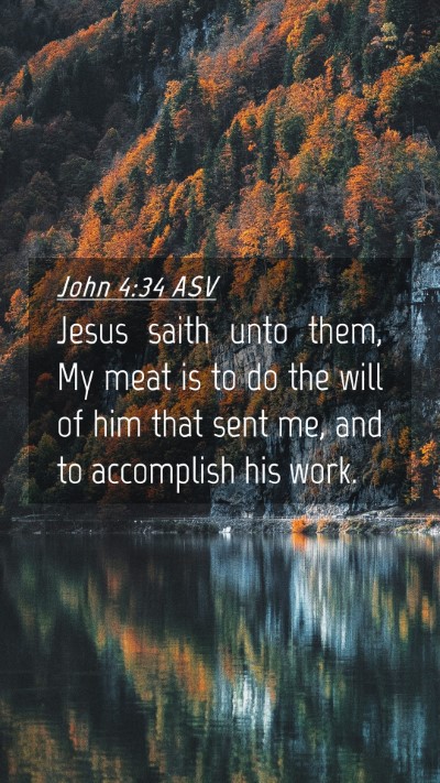 Picture 04 - John 4:34 ASV Mobile Phone Wallpaper - Jesus saith unto them, My meat is to do the will - Mobile Bible Verse Wallpaper