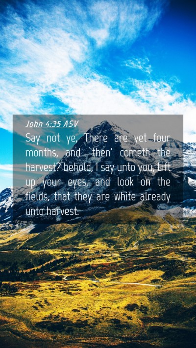 Picture 04 - John 4:35 ASV Mobile Phone Wallpaper - Say not ye, There are yet four months, and `then' - Mobile Bible Verse Wallpaper