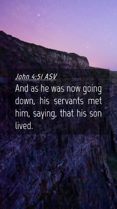 Picture 04 - John 4:51 ASV Mobile Phone Wallpaper - And as he was now going down, his servants met - Mobile Bible Verse Wallpaper