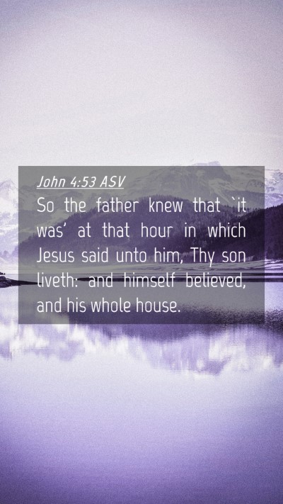 Picture 04 - John 4:53 ASV Mobile Phone Wallpaper - So the father knew that `it was' at that hour in - Mobile Bible Verse Wallpaper