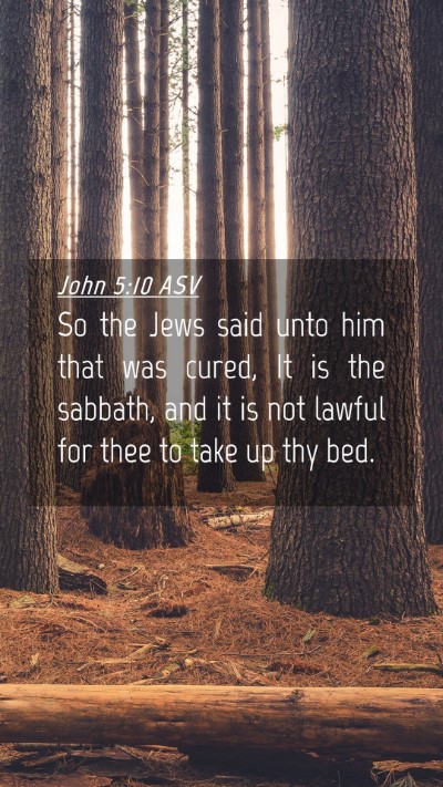 Picture 04 - John 5:10 ASV Mobile Phone Wallpaper - So the Jews said unto him that was cured, It is - Mobile Bible Verse Wallpaper