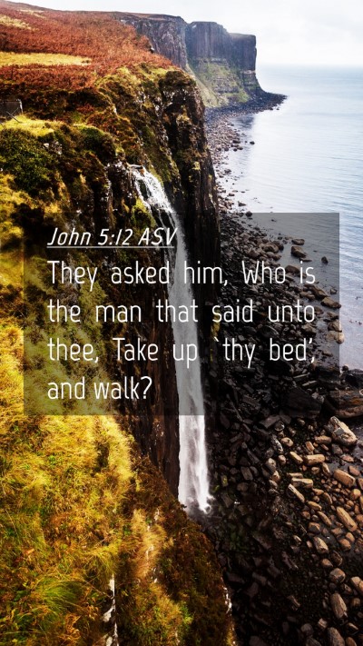 Picture 04 - John 5:12 ASV Mobile Phone Wallpaper - They asked him, Who is the man that said unto - Mobile Bible Verse Wallpaper