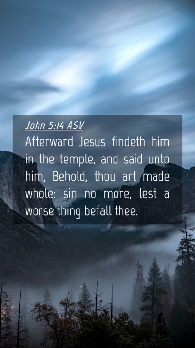 Picture 04 - John 5:14 ASV Mobile Phone Wallpaper - Afterward Jesus findeth him in the temple, and - Mobile Bible Verse Wallpaper