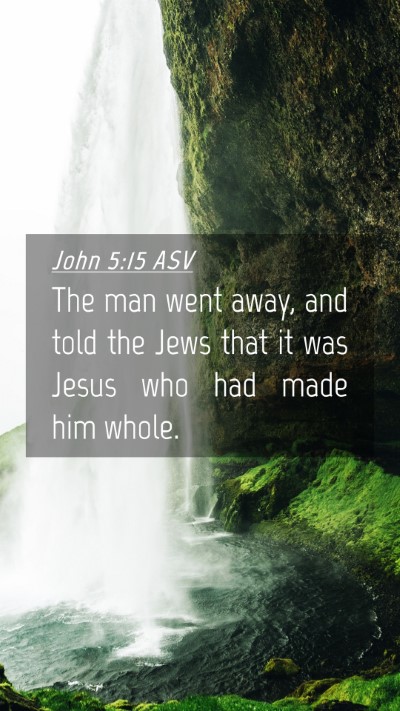 Picture 04 - John 5:15 ASV Mobile Phone Wallpaper - The man went away, and told the Jews that it was - Mobile Bible Verse Wallpaper