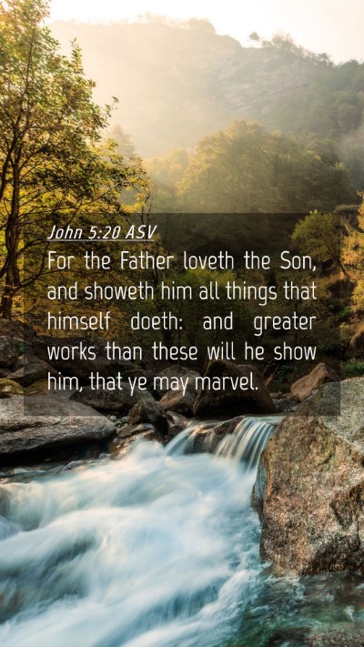 Picture 04 - John 5:20 ASV Mobile Phone Wallpaper - For the Father loveth the Son, and showeth him - Mobile Bible Verse Wallpaper