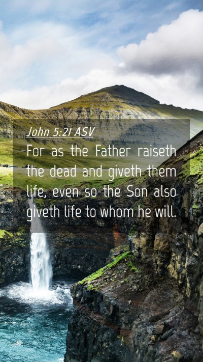 Picture 04 - John 5:21 ASV Mobile Phone Wallpaper - For as the Father raiseth the dead and giveth - Mobile Bible Verse Wallpaper