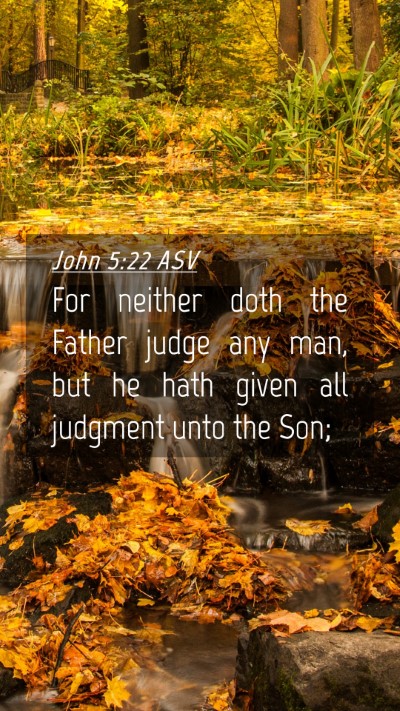 Picture 04 - John 5:22 ASV Mobile Phone Wallpaper - For neither doth the Father judge any man, but he - Mobile Bible Verse Wallpaper