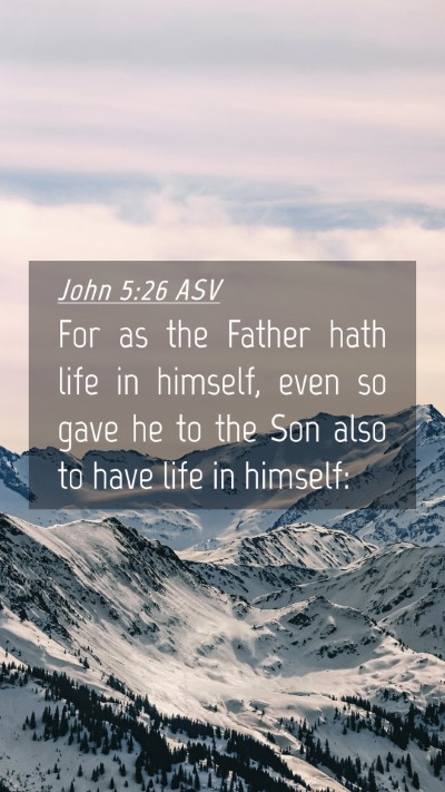 Picture 04 - John 5:26 ASV Mobile Phone Wallpaper - For as the Father hath life in himself, even so - Mobile Bible Verse Wallpaper