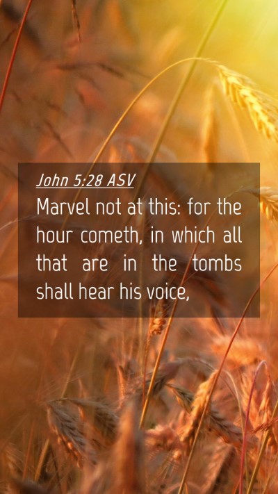 Picture 04 - John 5:28 ASV Mobile Phone Wallpaper - Marvel not at this: for the hour cometh, in which - Mobile Bible Verse Wallpaper