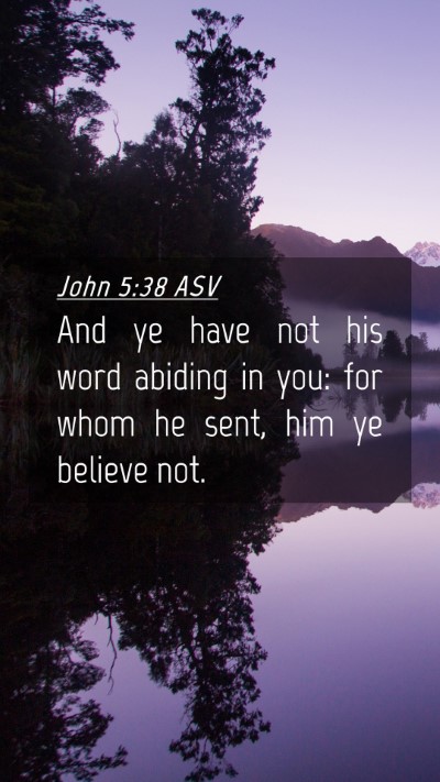 Picture 04 - John 5:38 ASV Mobile Phone Wallpaper - And ye have not his word abiding in you: for whom - Mobile Bible Verse Wallpaper