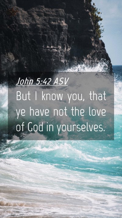 Picture 04 - John 5:42 ASV Mobile Phone Wallpaper - But I know you, that ye have not the love of God - Mobile Bible Verse Wallpaper