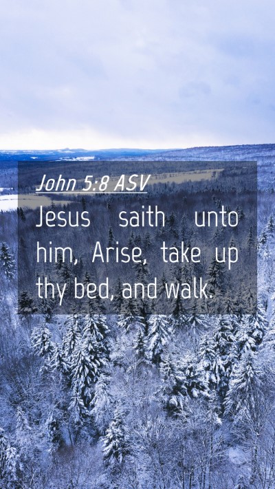Picture 04 - John 5:8 ASV Mobile Phone Wallpaper - Jesus saith unto him, Arise, take up thy bed, and - Mobile Bible Verse Wallpaper