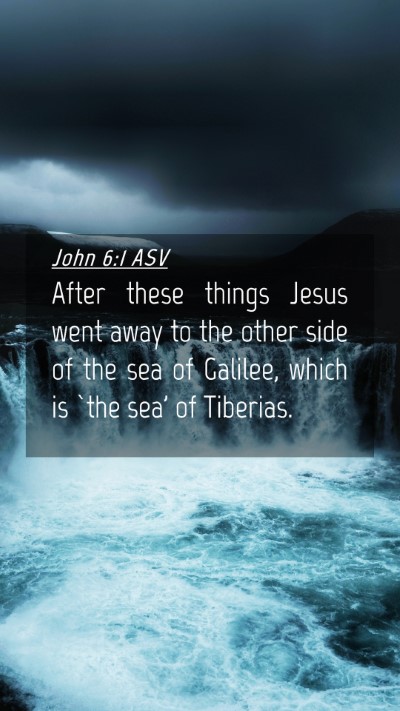 Picture 04 - John 6:1 ASV Mobile Phone Wallpaper - After these things Jesus went away to the other - Mobile Bible Verse Wallpaper