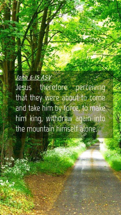 Picture 04 - John 6:15 ASV Mobile Phone Wallpaper - Jesus therefore perceiving that they were about - Mobile Bible Verse Wallpaper
