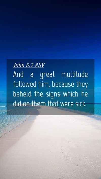 Picture 04 - John 6:2 ASV Mobile Phone Wallpaper - And a great multitude followed him, because they - Mobile Bible Verse Wallpaper