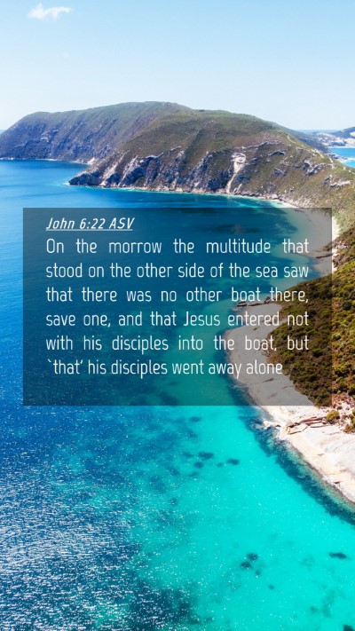 Picture 04 - John 6:22 ASV Mobile Phone Wallpaper - On the morrow the multitude that stood on the - Mobile Bible Verse Wallpaper