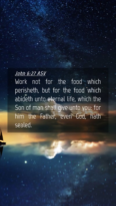Picture 04 - John 6:27 ASV Mobile Phone Wallpaper - Work not for the food which perisheth, but for - Mobile Bible Verse Wallpaper