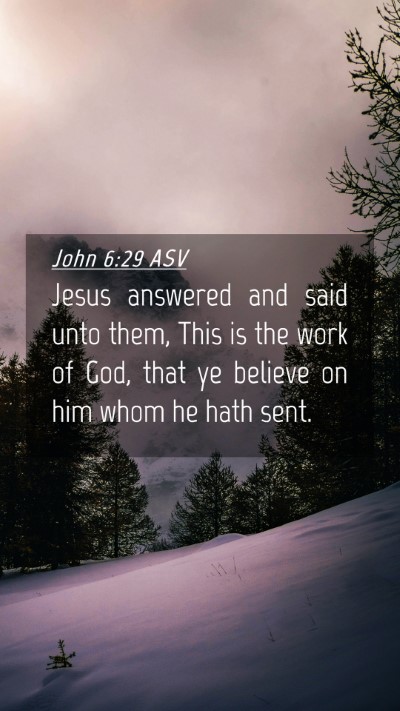 Picture 04 - John 6:29 ASV Mobile Phone Wallpaper - Jesus answered and said unto them, This is the - Mobile Bible Verse Wallpaper