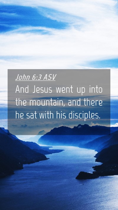 Picture 04 - John 6:3 ASV Mobile Phone Wallpaper - And Jesus went up into the mountain, and there he - Mobile Bible Verse Wallpaper