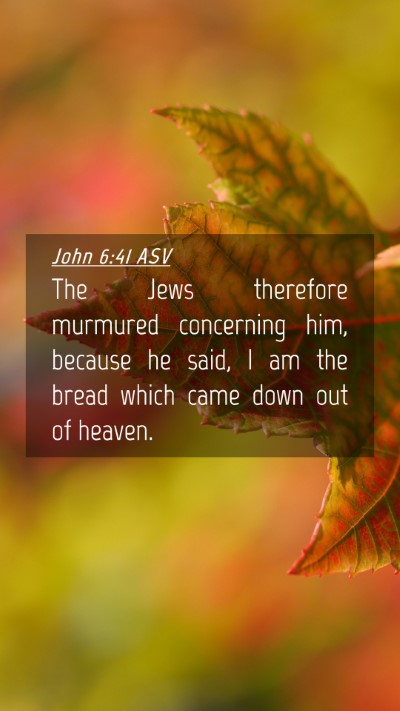 Picture 04 - John 6:41 ASV Mobile Phone Wallpaper - The Jews therefore murmured concerning him, - Mobile Bible Verse Wallpaper