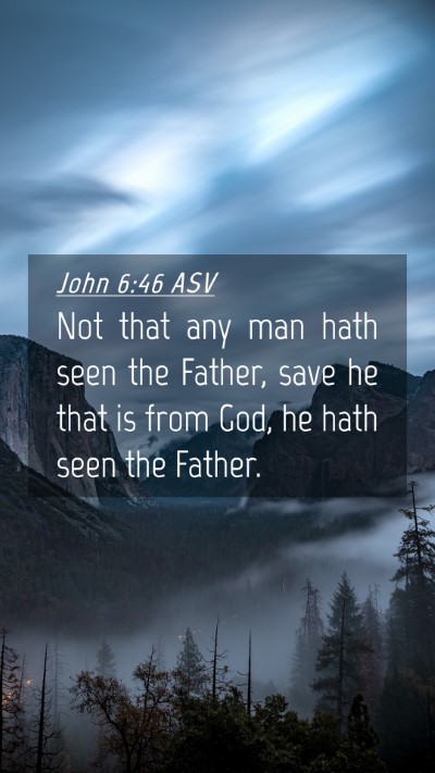 Picture 04 - John 6:46 ASV Mobile Phone Wallpaper - Not that any man hath seen the Father, save he - Mobile Bible Verse Wallpaper