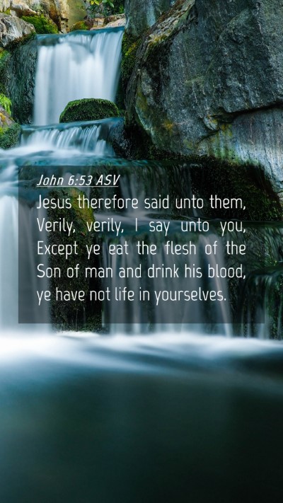Picture 04 - John 6:53 ASV Mobile Phone Wallpaper - Jesus therefore said unto them, Verily, verily, I - Mobile Bible Verse Wallpaper