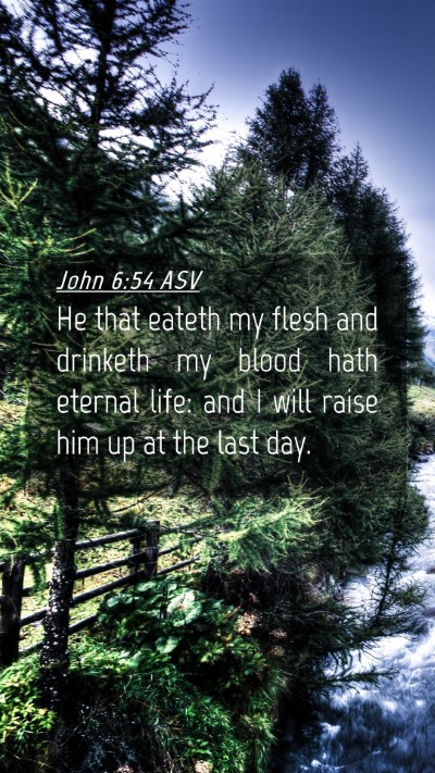 Picture 04 - John 6:54 ASV Mobile Phone Wallpaper - He that eateth my flesh and drinketh my blood - Mobile Bible Verse Wallpaper