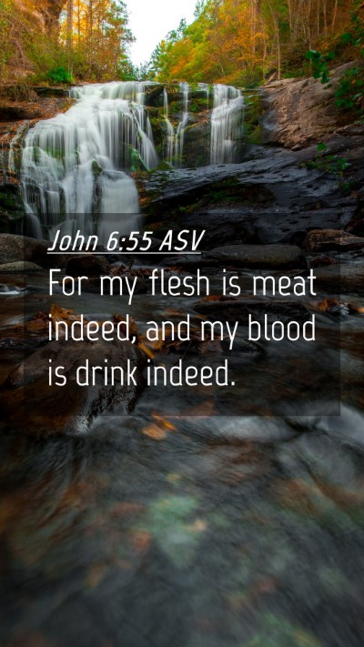 Picture 04 - John 6:55 ASV Mobile Phone Wallpaper - For my flesh is meat indeed, and my blood is - Mobile Bible Verse Wallpaper