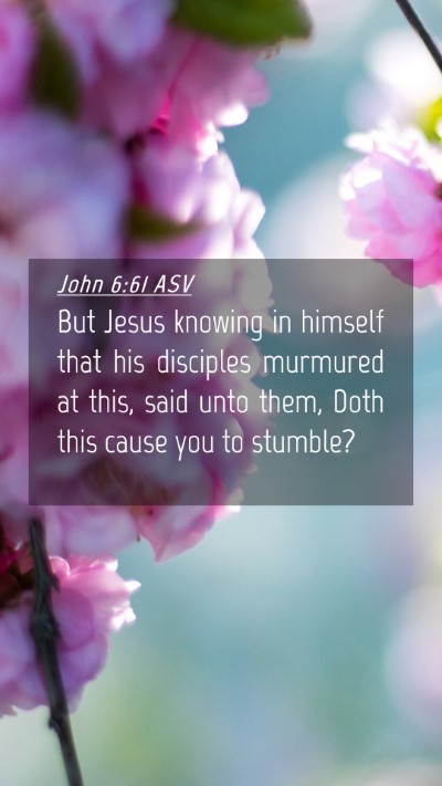 Picture 04 - John 6:61 ASV Mobile Phone Wallpaper - But Jesus knowing in himself that his disciples - Mobile Bible Verse Wallpaper