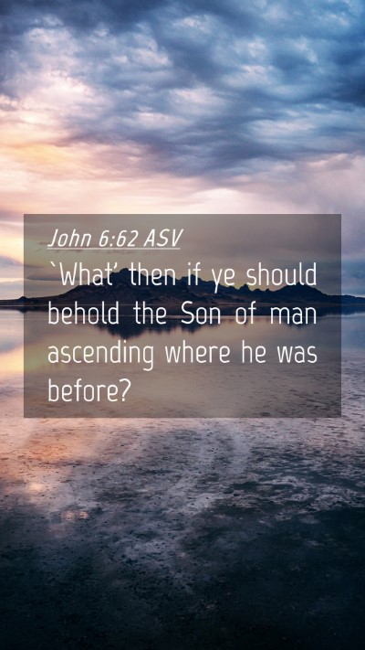 Picture 04 - John 6:62 ASV Mobile Phone Wallpaper - `What' then if ye should behold the Son of man - Mobile Bible Verse Wallpaper