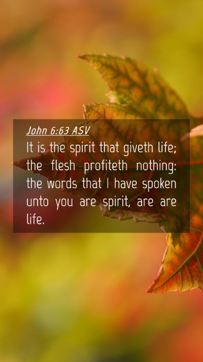 Picture 04 - John 6:63 ASV Mobile Phone Wallpaper - It is the spirit that giveth life; the flesh - Mobile Bible Verse Wallpaper
