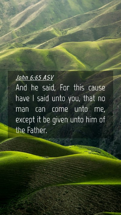 Picture 04 - John 6:65 ASV Mobile Phone Wallpaper - And he said, For this cause have I said unto you, - Mobile Bible Verse Wallpaper
