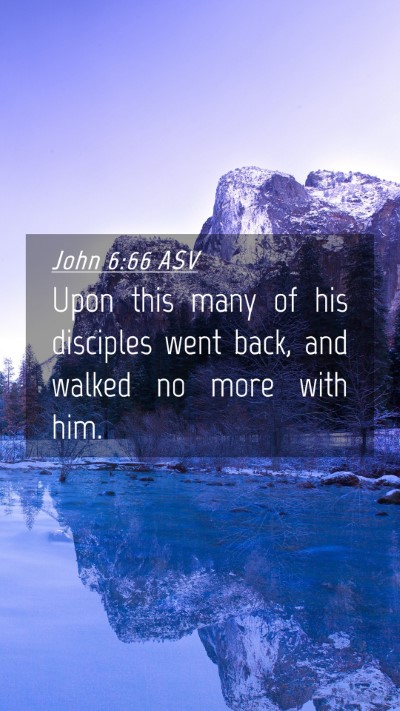 Picture 04 - John 6:66 ASV Mobile Phone Wallpaper - Upon this many of his disciples went back, and - Mobile Bible Verse Wallpaper