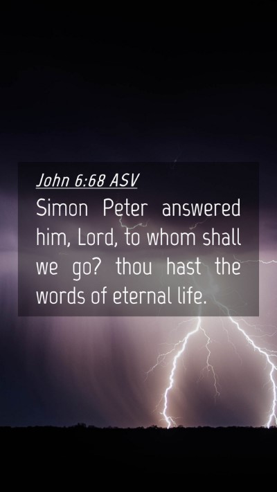Picture 04 - John 6:68 ASV Mobile Phone Wallpaper - Simon Peter answered him, Lord, to whom shall we - Mobile Bible Verse Wallpaper
