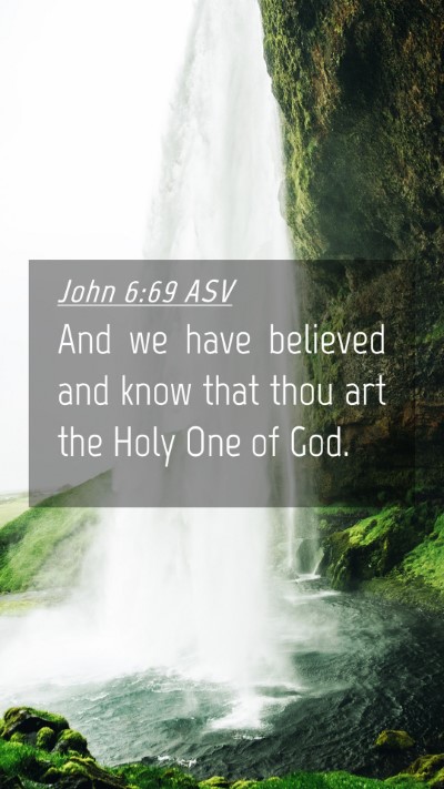 Picture 04 - John 6:69 ASV Mobile Phone Wallpaper - And we have believed and know that thou art the - Mobile Bible Verse Wallpaper