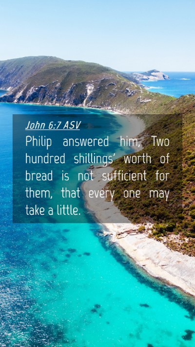 Picture 04 - John 6:7 ASV Mobile Phone Wallpaper - Philip answered him, Two hundred shillings' worth - Mobile Bible Verse Wallpaper