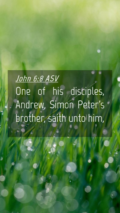 Picture 04 - John 6:8 ASV Mobile Phone Wallpaper - One of his disciples, Andrew, Simon Peter's - Mobile Bible Verse Wallpaper