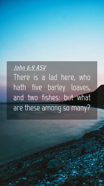Picture 04 - John 6:9 ASV Mobile Phone Wallpaper - There is a lad here, who hath five barley loaves, - Mobile Bible Verse Wallpaper