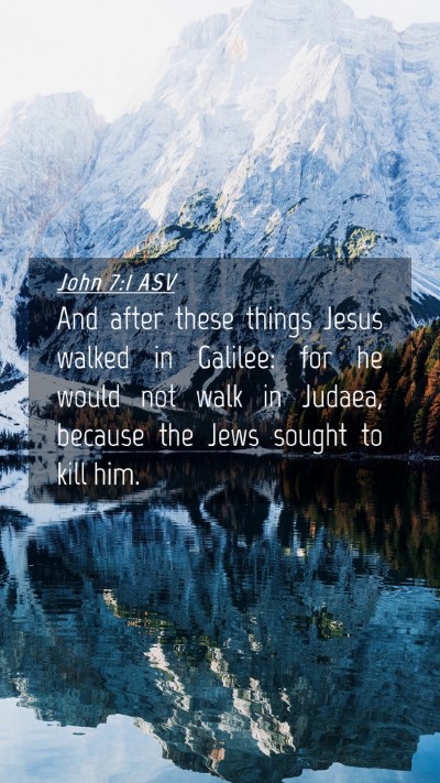 Picture 04 - John 7:1 ASV Mobile Phone Wallpaper - And after these things Jesus walked in Galilee: - Mobile Bible Verse Wallpaper