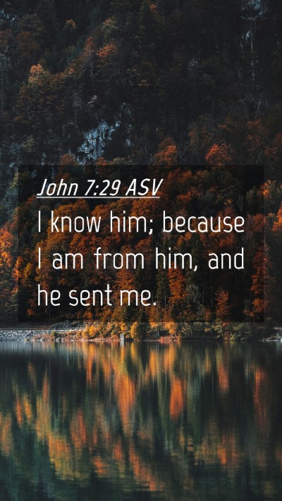Picture 04 - John 7:29 ASV Mobile Phone Wallpaper - I know him; because I am from him, and he sent - Mobile Bible Verse Wallpaper