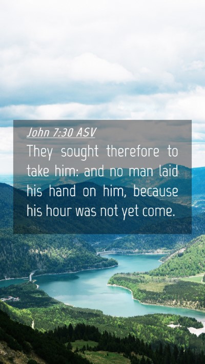 Picture 04 - John 7:30 ASV Mobile Phone Wallpaper - They sought therefore to take him: and no man - Mobile Bible Verse Wallpaper