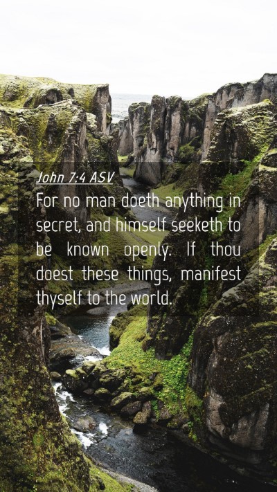 Picture 04 - John 7:4 ASV Mobile Phone Wallpaper - For no man doeth anything in secret, and himself - Mobile Bible Verse Wallpaper