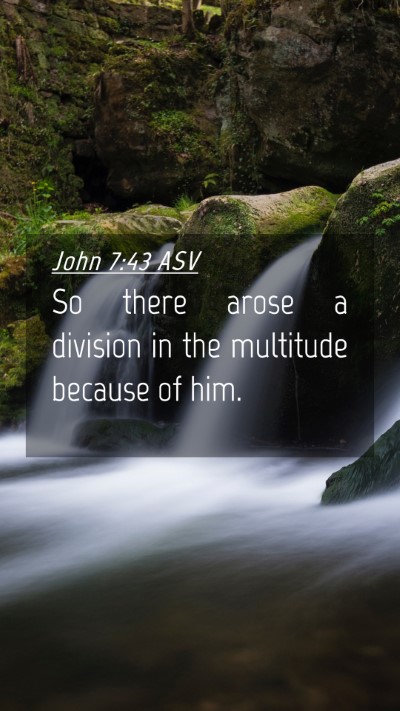 Picture 04 - John 7:43 ASV Mobile Phone Wallpaper - So there arose a division in the multitude - Mobile Bible Verse Wallpaper