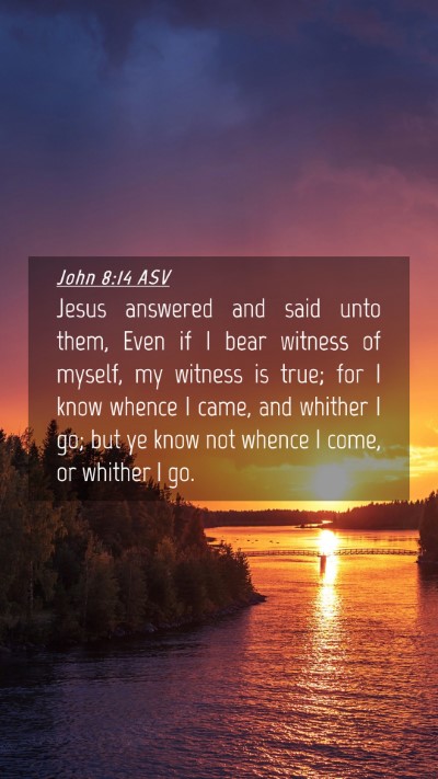 Picture 04 - John 8:14 ASV Mobile Phone Wallpaper - Jesus answered and said unto them, Even if I bear - Mobile Bible Verse Wallpaper