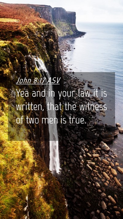 Picture 04 - John 8:17 ASV Mobile Phone Wallpaper - Yea and in your law it is written, that the - Mobile Bible Verse Wallpaper