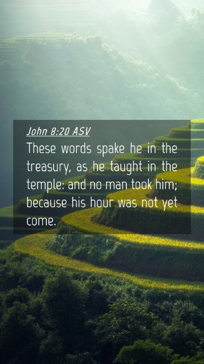 Picture 04 - John 8:20 ASV Mobile Phone Wallpaper - These words spake he in the treasury, as he - Mobile Bible Verse Wallpaper