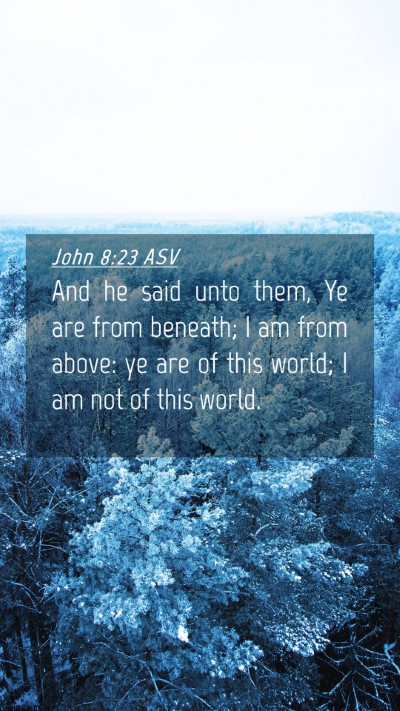 Picture 04 - John 8:23 ASV Mobile Phone Wallpaper - And he said unto them, Ye are from beneath; I am - Mobile Bible Verse Wallpaper